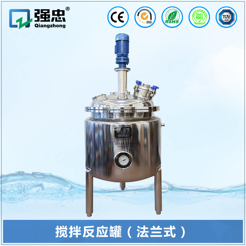 搅拌反应罐(法兰式) 搅拌反应罐(法兰式)